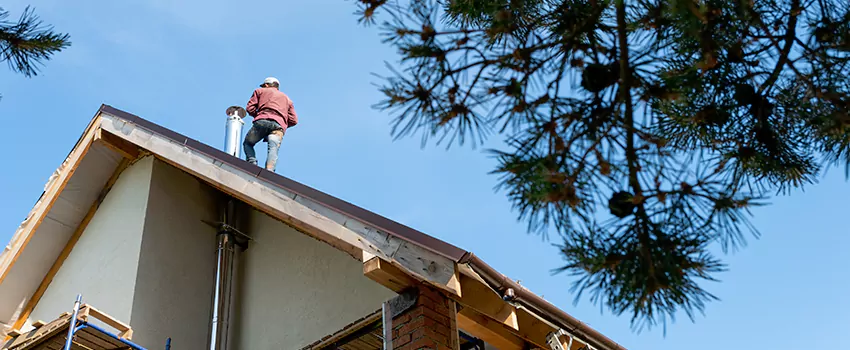 Birds Removal Contractors from Chimney in Aberdeen, WA